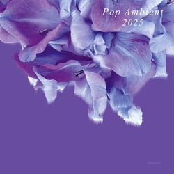 Pop Ambient 2025 Various Pop Ambient 2025 Various VINYL LP