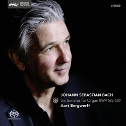 Bach J.S. Bergwerff Six Sonatas For Organ Bwv 525-530 (Hybr) SACD CD