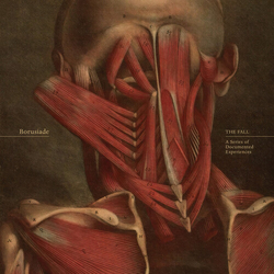 Borusiade Fall A Series Of Documented Experiences VINYL LP