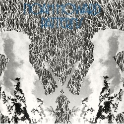 Noah Howard Patterns VINYL LP
