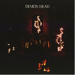 Demon Head Through Holes Shine The Stars (Uk) vinyl LP