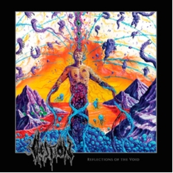 Question Reflections Of The Void VINYL LP