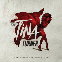 Many Faces Of Tina Turner Various Many Faces Of Tina Turner Various VINYL LP