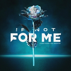 If Not for Me Everything You Wanted Colored Green White VINYL LP
