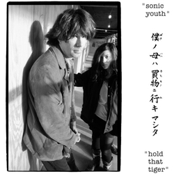 Sonic Youth Hold That Tiger VINYL LP