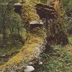 Jan Jelinek Kosmischer Pitch VINYL LP