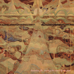 Lavender Flu Tracing The Sand By The Pool VINYL LP