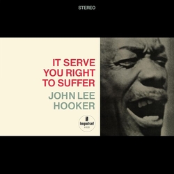 John Lee Hooker It Serve You Right To Suffer (Acoustic Sounds Ser) VINYL LP