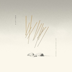 Amulets Not Around But Through VINYL LP