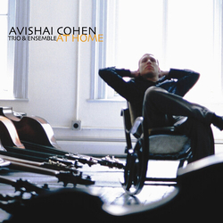 Cohen,Avishai Guiliana,Mark Tzur,Tomer At Home vinyl LP