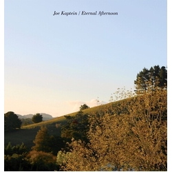 Joe Kaptein Eternal Afternoons vinyl LP