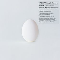 Wilco A Ghost Is Born (9LP/4CD box set) VINYL LP