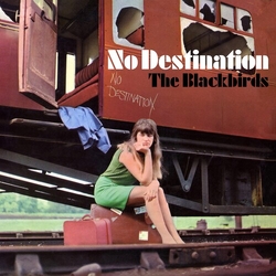 Blackbirds No Destination VINYL LP