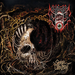 Cemetery Filth Senses Of Detriment VINYL LP
