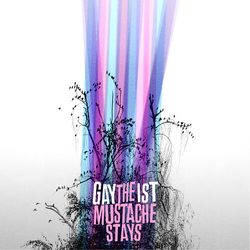 Gaytheist Mustache Stays (Mgta) VINYL LP