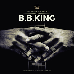 Many Faces Of B.B. King Various - Grey VINYL Many Faces Of B.B. King Various - Grey VINYL VINYL LP