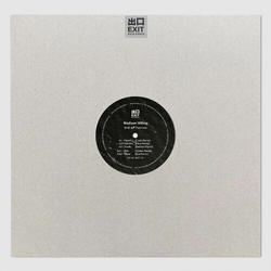 Madison Willing Birth Lp Remixes vinyl 12