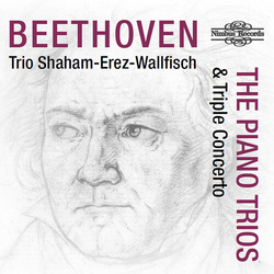 Beethoven,L.V. Wallfisch Erez Piano Trios & Triple Concerto CD