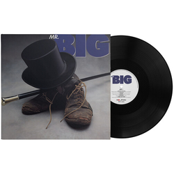 Mr Big Mr Big  VINYL LP