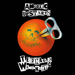 Angelic Upstarts Teenage Warning VINYL LP