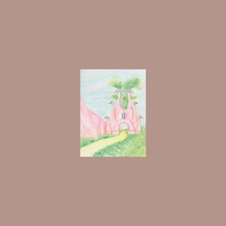 Acchiappashpirt Ninulla vinyl LP