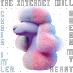 Chris Imler Internet Will Break My Heart VINYL LP