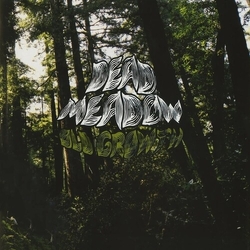 Dead Meadow Old Growth VINYL LP