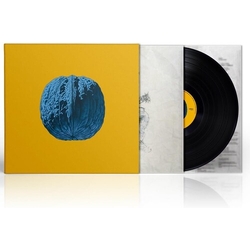 Brunori Sas Lalbero Delle Noci VINYL LP