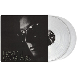 David J On Glass VINYL LP