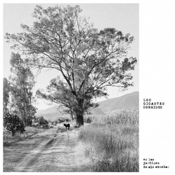 Gigantes Dormidos Jardines De Mis Abuelos vinyl LP