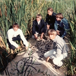 Children Of The Mushroom Children Of The Mushroom VINYL LP