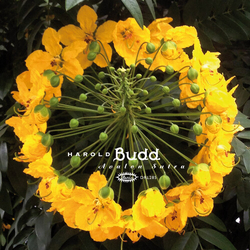 Harold Budd Avalon Sutra With Bonus Cd Limited Edition VINYL LP