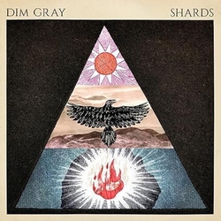 Dim Gray Shards VINYL LP