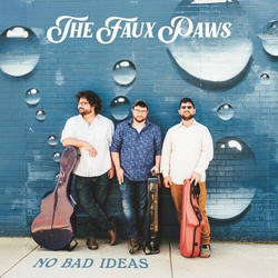 Faux Paws No Bad Ideas VINYL LP