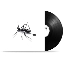 Gazzelle Indi VINYL LP