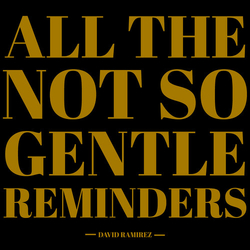 David Ramirez All The Not So Gentle Reminders VINYL LP