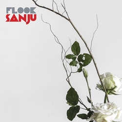 Flook Sanju VINYL LP