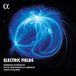 Hannigan Chalmin Electric Fields vinyl LP