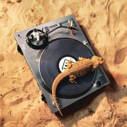 X-Coast Riviera Collection vinyl LP