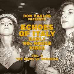 Don Carlos Echoes Of Italy Early 90S House Vibes Vol. 2 The vinyl LP