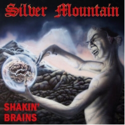 Silver Mountain Shakin Brains VINYL LP