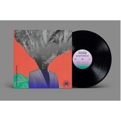 Everything Everything Mountainhead VINYL LP