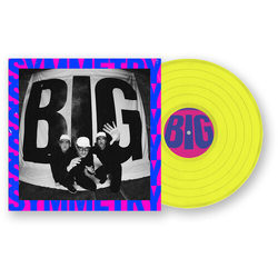 Pet Symmetry Big Symmetry VINYL LP