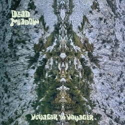 Dead Meadow Voyager To Voyager VINYL LP
