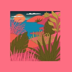 Coyote & Peaking Lights Love Letters vinyl 12