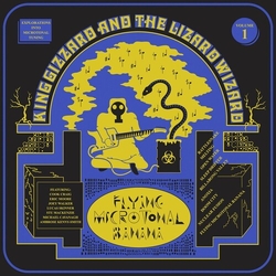 King Gizzard & The Lizard Wizard Flying Microtonal Banana (Eco) VINYL LP