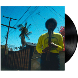 Andre 3000 Moving Day VINYL LP