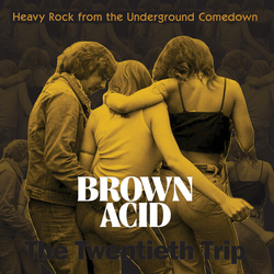 Brown Acid Twentieth Trip Various Brown Acid Twentieth Trip Various VINYL LP