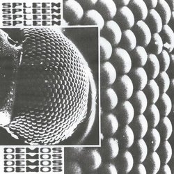 Spleen Demos VINYL LP