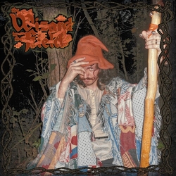Spife Wizard In The Field VINYL LP
